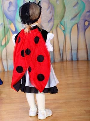 Костюм напрокат «Божья коровка»
