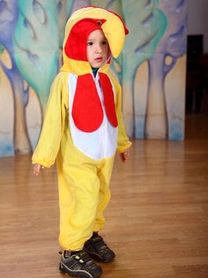 Костюм напрокат «Петушок»
